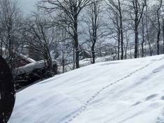 Video Habkern - Sattelegg