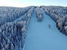 Video Viehberg - Sandl