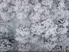 Video Niseko United - Annupuri/Grand Hirafu/Hanazono/Niseko Village