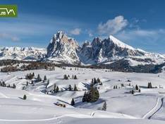 Video Alpe di Siusi (Seiser Alm)