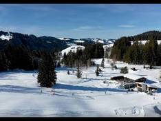 Video Wolzenalp - Krummenau