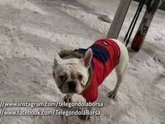 Video Olimpica - Borșa