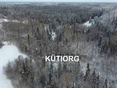 Video Kütiorg