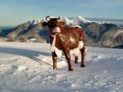 Il simbolo dell'Almenwelt Lofer sul Schwarzeck