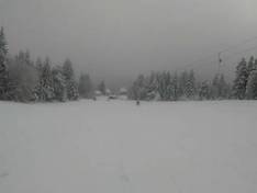 Video Lamm - Kniebis