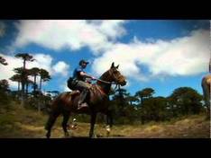 Video Las Araucarias/Llaima - Vilcún