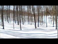 Video Biancoia - Conco