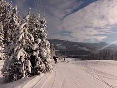 Video Wapiti Ski Hill - Elkford