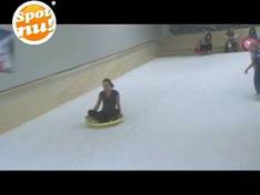 Video Delphindoorski - Ermelo
