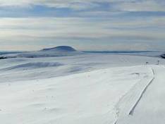 Video Fjätervålen