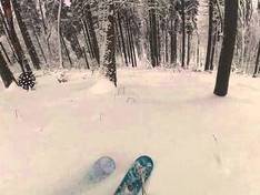 Video Dzikowiec - Boguszów-Gorce