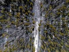 Video Green Mountain - Brush Creek Ranch