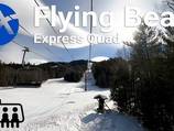Flying Bear Express Quad