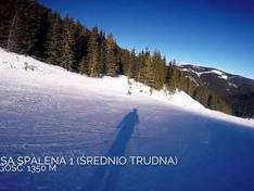 Video Roháče - Spálená