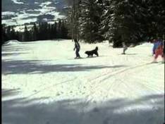 Video Tonnerhütte - Mühlen