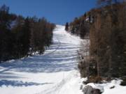 Pista solo per carving