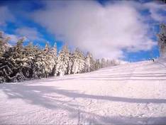 Video Jugów - Rymarz