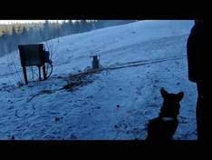 Video Aboda Klint - Högsby