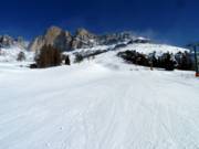 Piste larghe sotto il Catinaccio